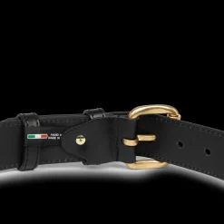 Petit ceinture